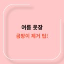 여름 옷장 곰팡이 제거 꿀팁!