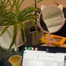 쌀통닭 (당산점) 이미지