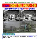 유골함 모아