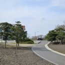 와흘메밀마을 이미지