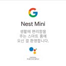 네스트베이스