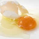계란과 건강. "나는 매일 한 두 개의 계란을 먹는다" 박경석 이미지