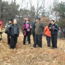 임원준 선생묘 이미지