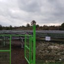 청풍 태양광발전소 이미지