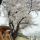 통복시장로48번길 이미지