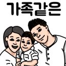 까사폴라리스 이미지