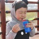 마이지니