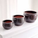 이화1호 이미지