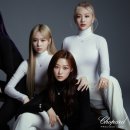 프레셔스