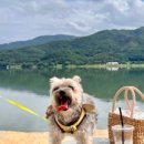 양평쉼하우스 이미지