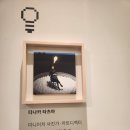 여의도자동차공업사 | 타나카 타츠야 작가님 전시후기