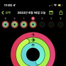 로망 휘트니스 이미지