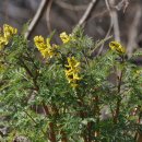 삼가리 농장 이미지