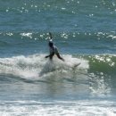 도내흑염소 이미지