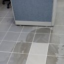 (주)비엔티 이미지