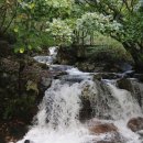 숲속의 집 | 꼭 가봐야 하는 경남 자연휴양림 추천, 거창 금원산 자연휴양림 한수리 숲속의 집 숙박후기