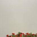 한옥마을로(북) | 아기랑 전주여행 한옥마을 위치좋은 숙소 추천 :: 호텔 북앤타이프