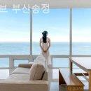 송정 바이브 풀빌라 | 송정동 풀빌라 바이브 부산송정 꼭 가봐야 할 곳