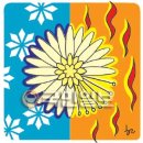 토종흰민들레식품