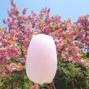 인천나비공원 이미지