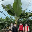 소야어린이집 이미지