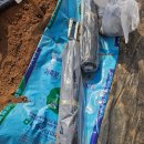 서수원농자재마트 이미지