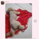 이자와 충장로점 | 2024 8월