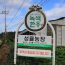 성율농장 이미지