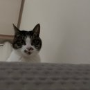 장제로340번길 이미지