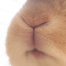 4산단로 이미지