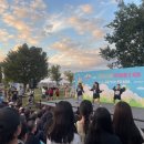 종이비행기 이미지