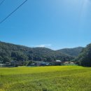 단독 수영장 풀빌라 숲속 풍무골 이미지