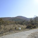 바우가든 이미지