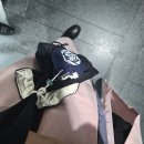3수 끝에 성공한 [26년 상반기 덕수궁 밤의 석조전] 후기+입궐 무드 끝장나는 코아 동그낭과 함께