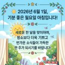 정직은 인생에서 가장 튼튼하고 오래 남는 자산이다 이미지