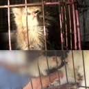 실상농장 이미지