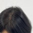 루시드닷(LUCIDDOT) 이미지