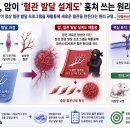 선우환경기술