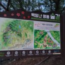 백금종주(백양산~금정산) 이미지