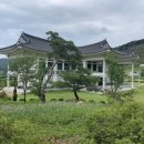 희망씨앗농장 네이버블로그