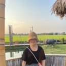 투어일일사주