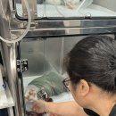 경산동물병원 이미지