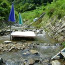 돌배나무집민박 이미지