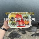 제주곱들락과일모찌 네이버블로그