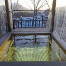 세계승마클럽 이미지