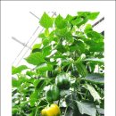 두배농장 이미지