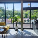 리틀레이첼 이미지