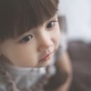 폴스베이비 네이버블로그