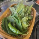 돈불석쇠불고기 | 가음정 시장 내돈내산 맛집 돈불 연탄 석쇠불고기 솔직후기