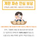 (유)해주식품 | 시골다리 동물복지 유정란 난각번호 1번 달걀, 고소함 최강 노른자 먹어보자.
